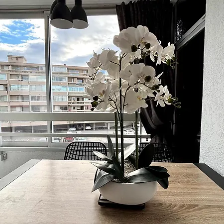 Climatise Avec Parking Et Wifi A 150m De La - Fr-1-748-35 Apartment Canet-en-Roussillon