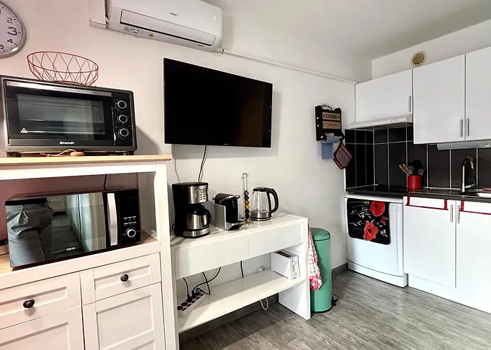 Climatise Avec Parking Et Wifi A 150m De La - Fr-1-748-35 Daire