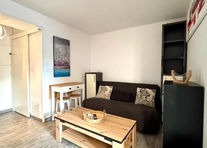 Daire Climatise Avec Parking Et Wifi A 150m De La - Fr-1-748-35 *