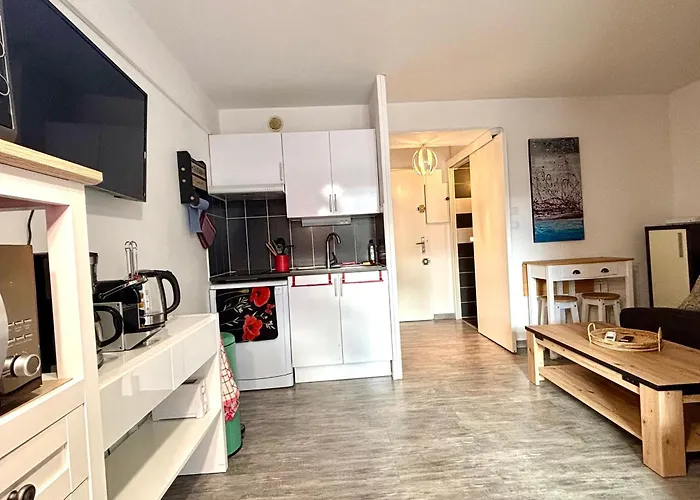 Daire Climatise Avec Parking Et Wifi A 150m De La - Fr-1-748-35 Canet-en-Roussillon